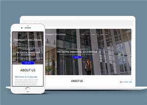 项目产品解决方案HTML网页模板下载 - 源空间