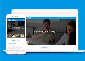 专业咨询服务展示HTML网页模板下载 - 源空间