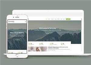 简约业务服务动态响应式网页模板 - 源空间