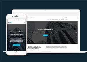 商务代理项目服务响应式网页模板 - 源空间