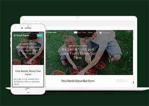新鲜农产品类公司网站模板下载 - 源空间