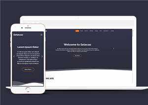 简约业务团队动态响应式网页模板下载 - 源空间