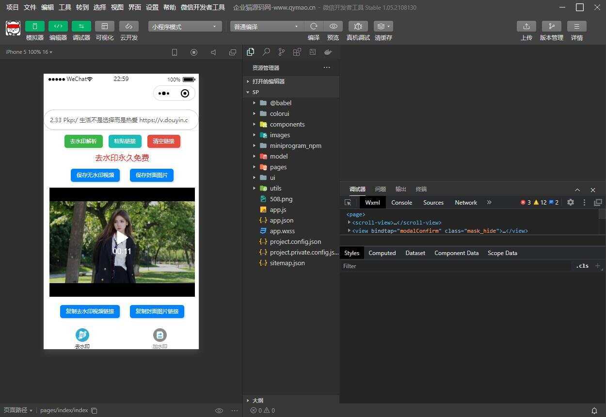 短视频去水印和图片加水印生成微信小程序源码 - 源空间