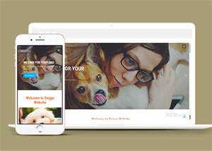 宠物美容服务公司网站模板源码 - 源空间