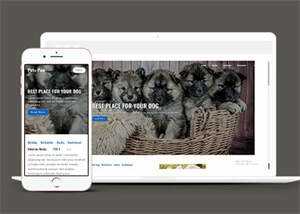 关于宠物狗销售网站模板下载 - 源空间