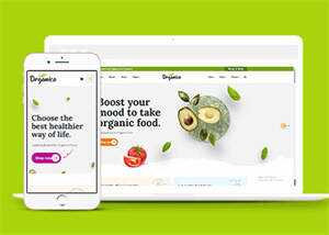 蔬菜水果商店网站响应式模板下载 - 源空间