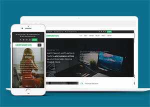 响应式财务管理公司网站模板 - 源空间