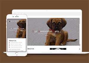 简洁宠物饲养单页HTML模板下载 - 源空间