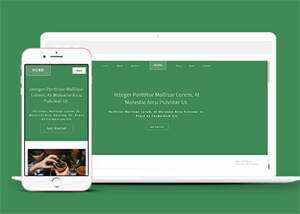 响应式多肉植物种植网站模板下载 - 源空间