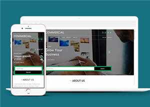 简洁商业贸易服务展示HTML网页模板下载 - 源空间