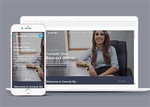 简洁专业投资顾问网站模板下载 - 源空间