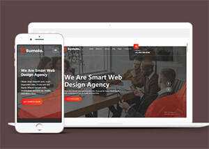 web软件应用开发公司网站模板 - 源空间