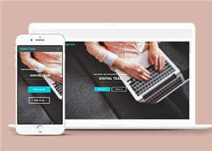 简洁数字团队服务展示响应式网页模板下载 - 源空间