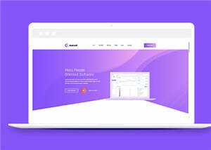 简约软件开发企业网站模板下载 - 源空间