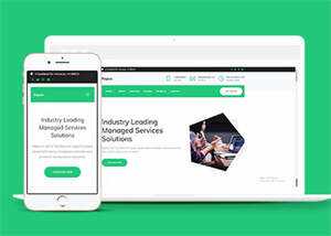 互联网增值服务公司网站模板下载 - 源空间