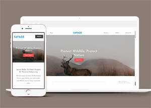 保护野生动物响应式网站模板下载 - 源空间