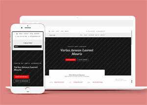 唯美休闲小清新网站模板下载 - 源空间