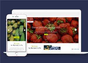 响应式果蔬大棚企业源码模板下载 - 源空间