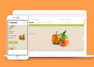 简洁蔬菜水果超市电商网站模板源码下载 - 源空间