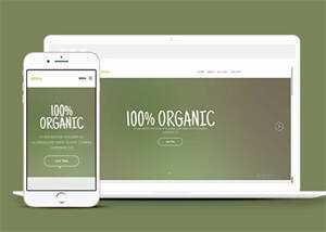 简洁绿色主题公司网站模板下载 - 源空间