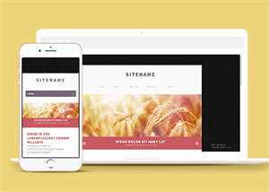 宽屏粉色个人博客主页网站模板 - 源空间