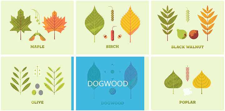 jQuery列表图片鼠标悬停感知方向遮罩层移动特效 - 源空间