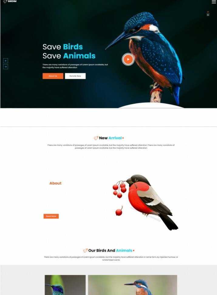 拯救鸟类拯救动物HTML5网站模板 - 源空间
