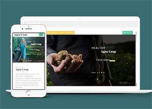 足球运动直播网站响应式模板 - 源空间