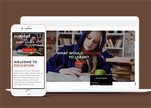 简洁图书馆在线书城网站模板 - 源空间