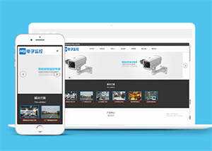 响应式数字防盗类网站前端模板 - 源空间