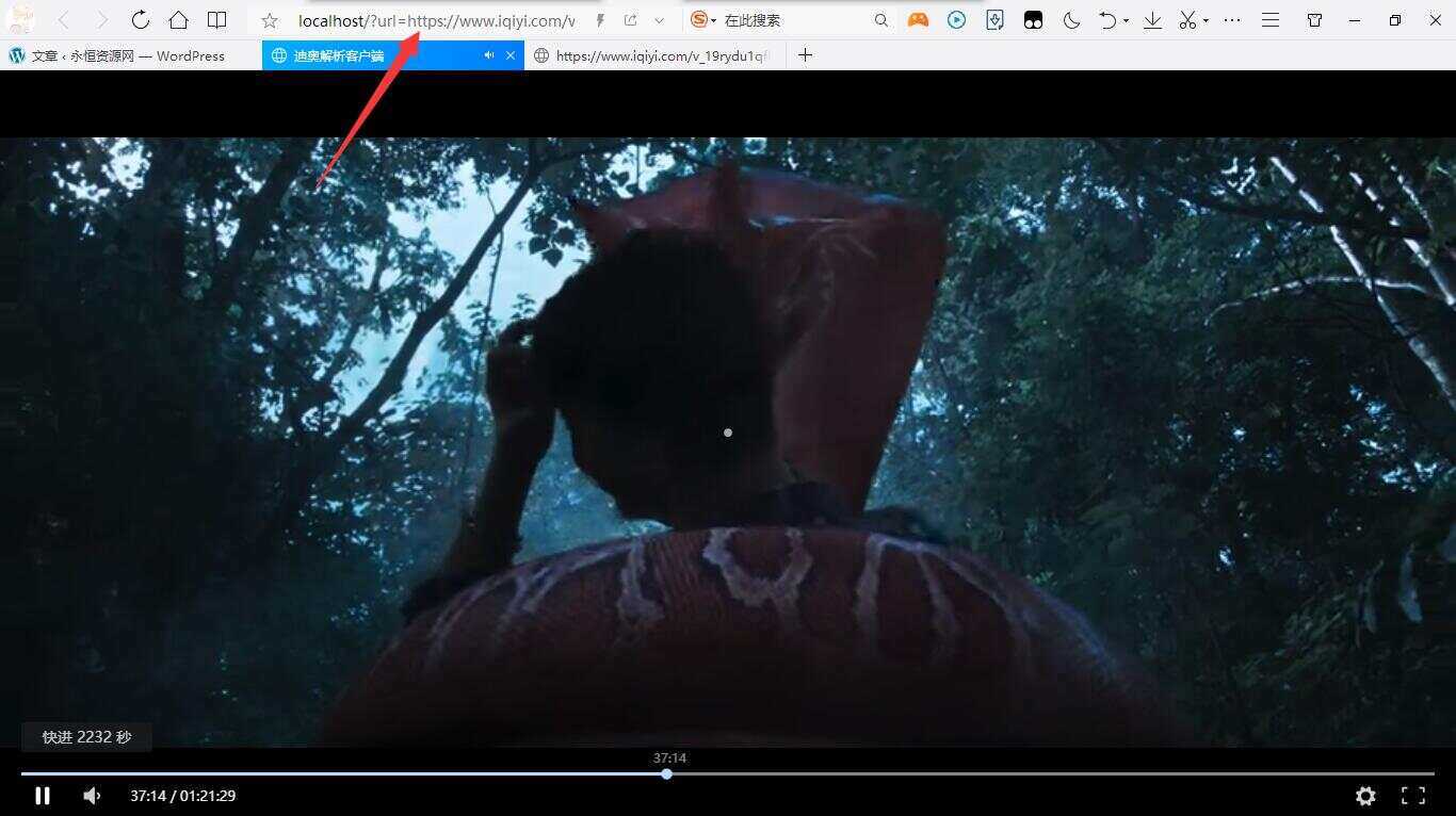 迪奥VIP视频解析客户端PHP源码 - 源空间