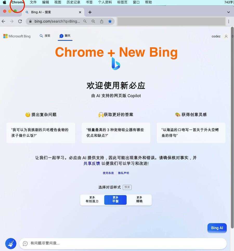 微软New Bing完美聊天机器人源码，支持ChatGPT提示词 国内可用，基本兼容微软 Bing AI 所有功能 - 源空间