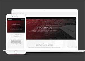 响应式前端框架skin网站模板 - 源空间