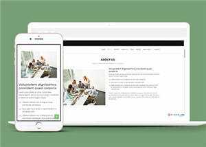 网页设计优化机构响应式网页模板 - 源空间