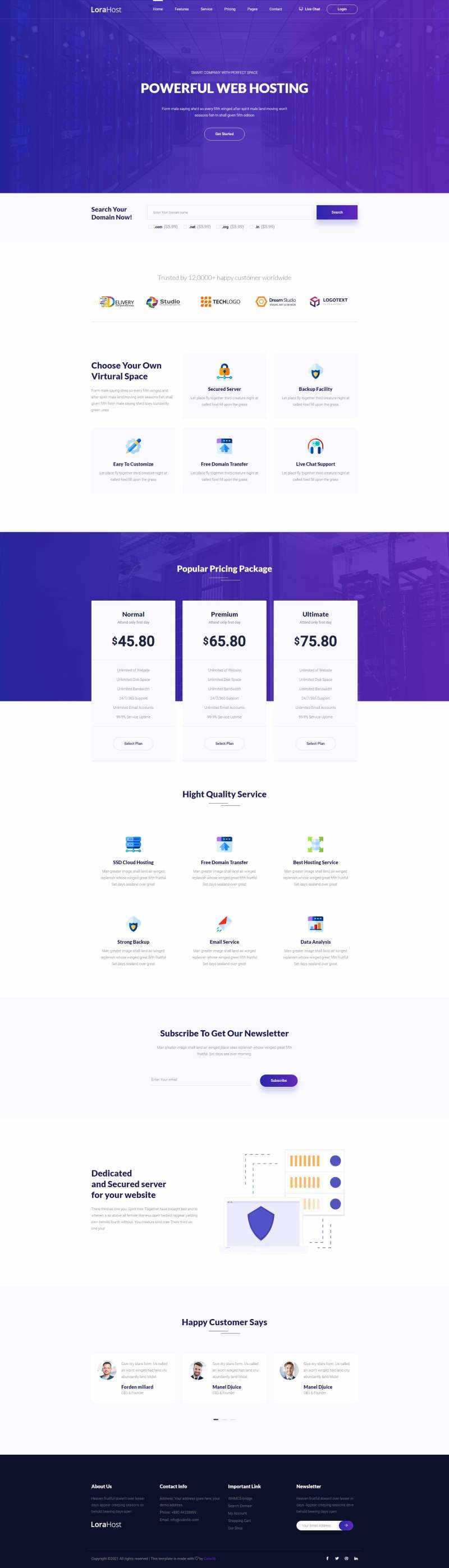 紫色的虚拟主机域名托管服务网站html模板 - 源空间