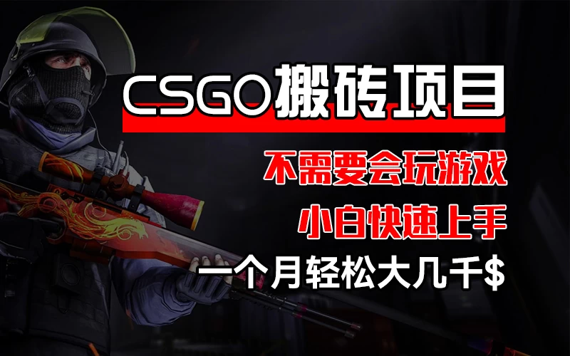 CSGO 装备搬砖项目，操作简单，不需要会玩游戏，小白也能快速上手，一个月轻松大几千 - 源空间
