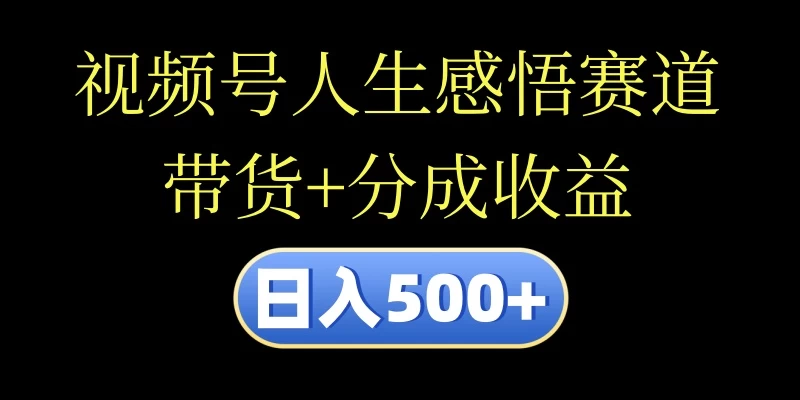 视频号人生感悟赛道，带货+分成收益，日入500+，10分钟做一个视频 - 源空间