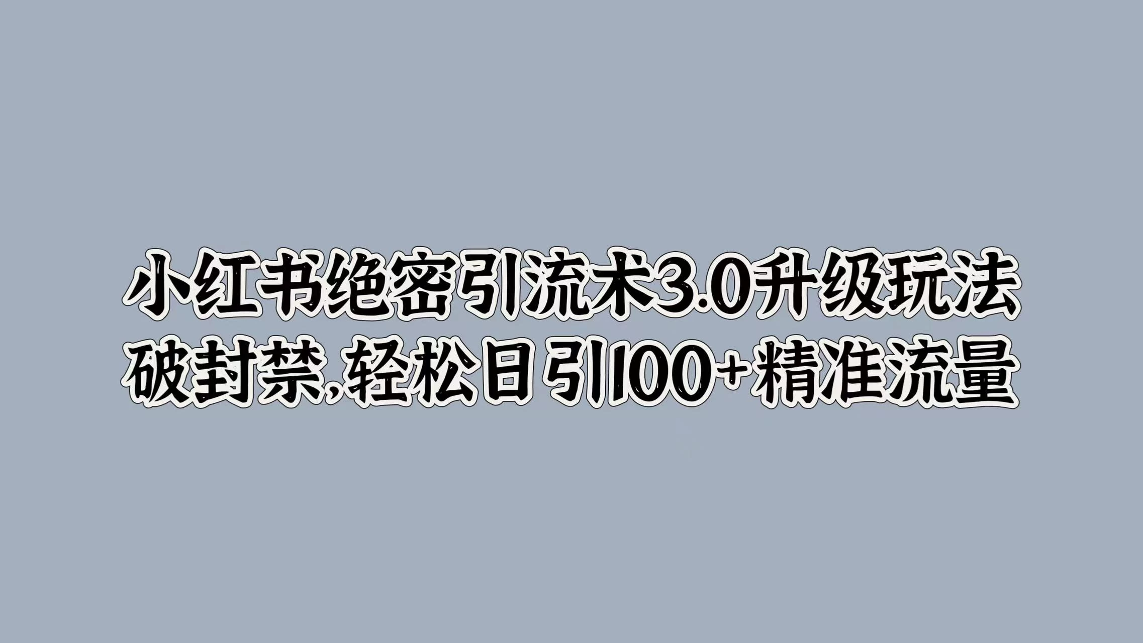 小红书绝密引流术3.0升级玩法，破封禁，轻松日引100+精准流量 - 源空间
