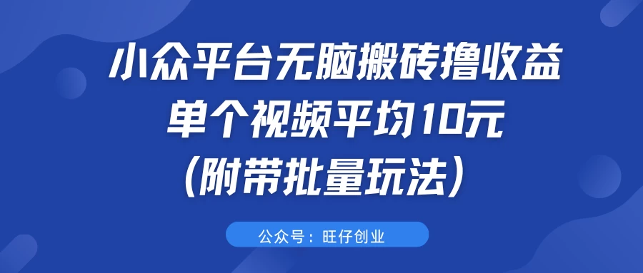 小众平台无脑搬砖撸收益，单个视频平均10元 (附带批量玩法） - 源空间