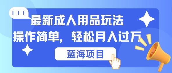 最新成人用品项目玩法，操作简单，蓝海项目轻松月入过万 - 源空间