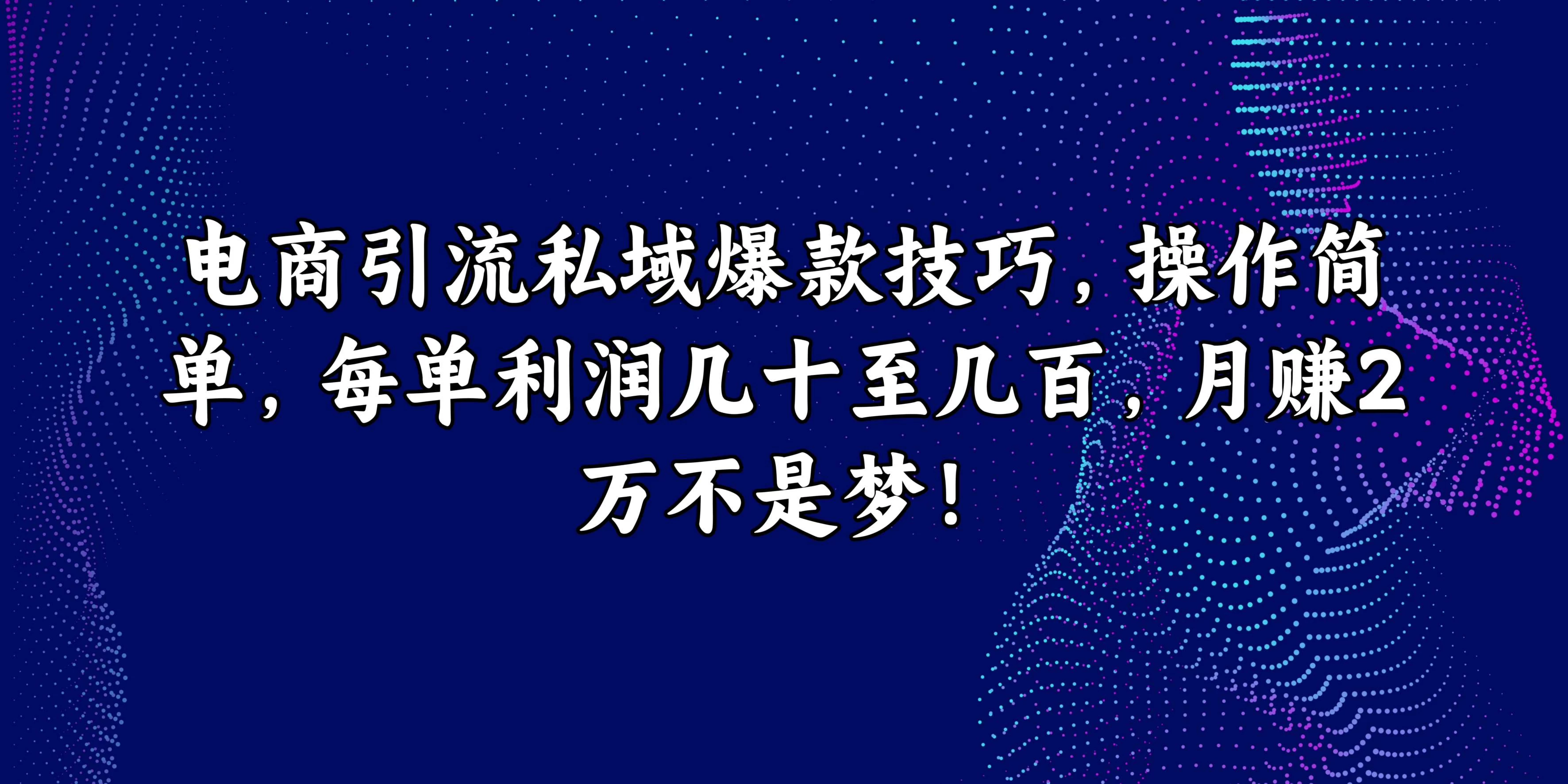 电商引流私域爆款技巧，操作简单，每单利润几十至几百，月赚2万不是梦！ - 源空间