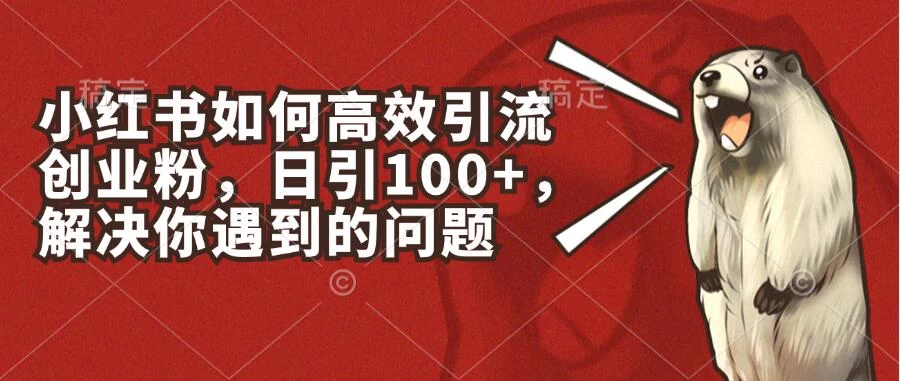 小红书如何高效引流创业粉，日引100+，解决你遇到的问题 - 源空间