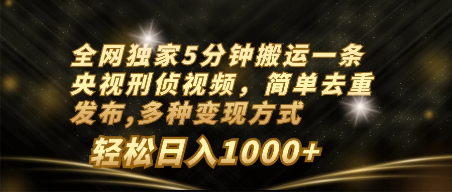 全网独家5分钟搬运一条央视刑侦视频，简单去重发布，多种变现方式，轻松日入1000+ - 源空间