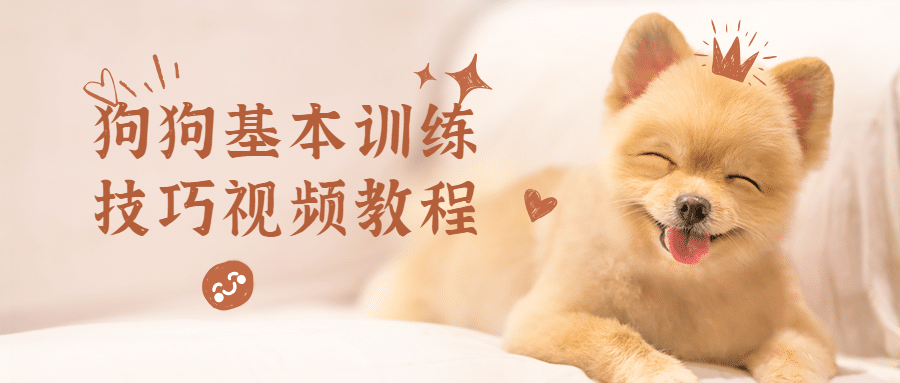 狗狗基本训练技巧视频教程 - 源空间