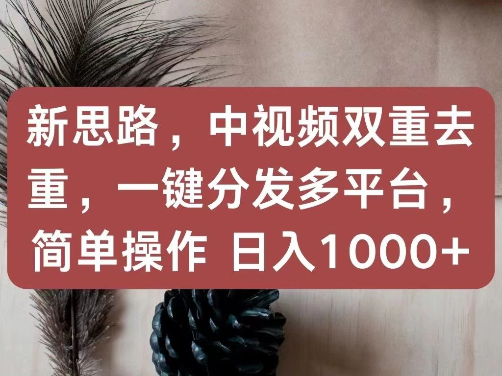 新思路，中视频双重去重，一键分发多平台，简单操作，日入1000+！快来试试吧！ - 源空间