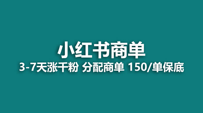 2023最强蓝海项目，小红书商单项目，没有之一 - 源空间