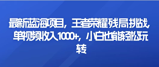 最新蓝海项目，王者荣耀残局挑战，单视频收入1000+，小白也能轻松玩转 - 源空间