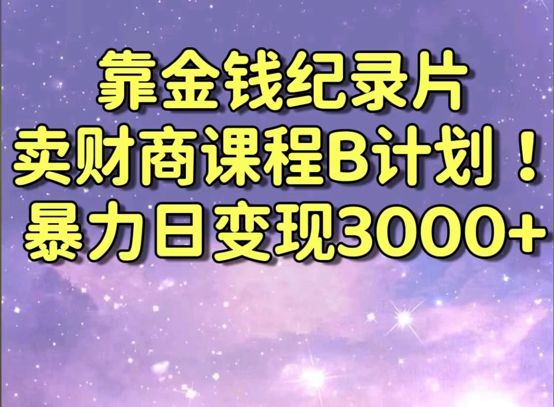 靠金钱纪录片卖财商课程，暴力日变现3000+，喂饭级干货教学！！ - 源空间