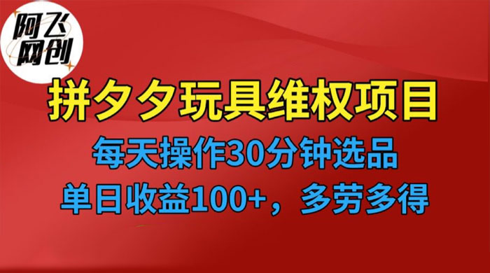 仅揭秘：拼多多 3C 玩具维权项目，一天操作半小时，稳定收入 100+ - 源空间