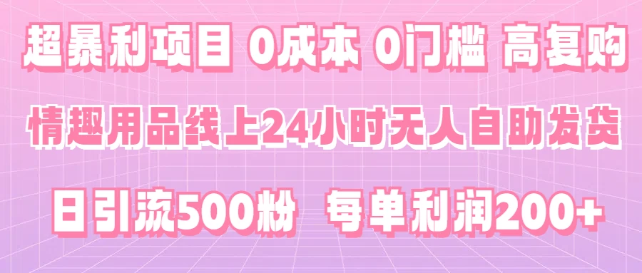 超暴利项目，情趣用品线上24小时-无人自助发货，0成本，0门槛，高复购，有手就能做，日引500粉，每单利润200+ - 源空间